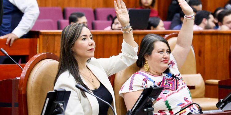 Se amplían los derechos para la mujer con propuesta de la diputada Haydeé Reyes sobre lactancia materna en Oaxaca.