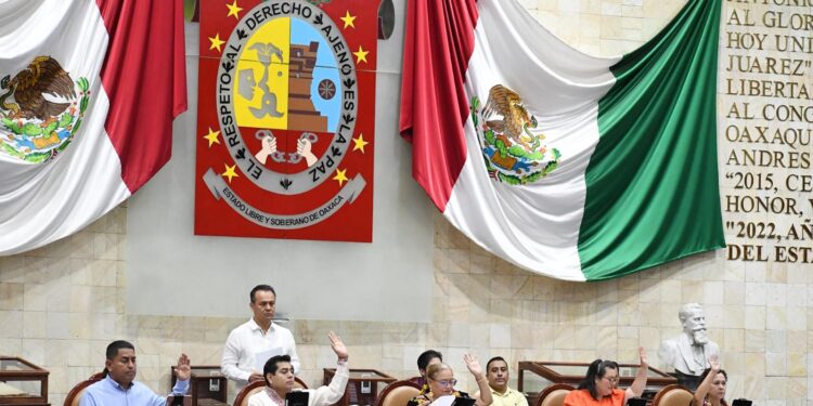 Busca Congreso sancionar la destrucción de colmenas de abejas polinizadoras