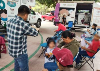 Caravana de Unidades de Cuidados DIF visita 22 municipios de la Sierra Sur