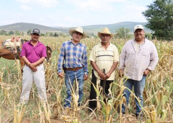 Propone diputado Horacio Sosa establecer como obligación del Gobierno inversión para revertir sequía en Oaxaca