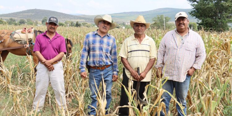 Propone diputado Horacio Sosa establecer como obligación del Gobierno inversión para revertir sequía en Oaxaca