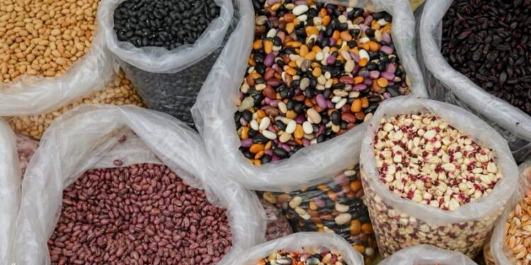 Invita Gobierno de Oaxaca a Feria Estatal de la Agrobiodiversidad