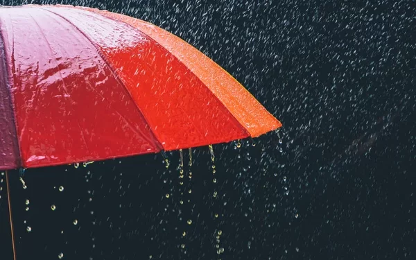 Frente frío número 11 ocasionará ligeras lluvias con chubascos en parte del estado