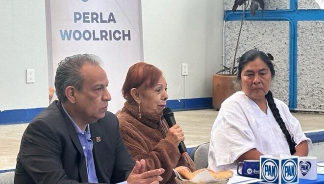 Por mucho que quiera el gobierno estatal, no procede la privatización de tierras ejidales y comunales: PAN