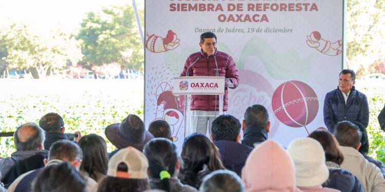 Inicia Jara Cruz cosecha de rábanos y siembra simbólica de Reforesta Oахаса 2024