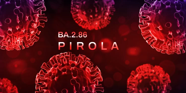 Pirola, nueva variante de covid-19, “no representa alerta” de aumento de casos: Ssa