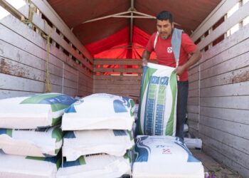 Entrega Sefader crías de peces a personas productoras de Valles Centrales y Sierra Sur