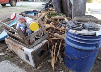 Reitera SSO que la mejor protección ante el dengue es eliminar criaderos del mosquito