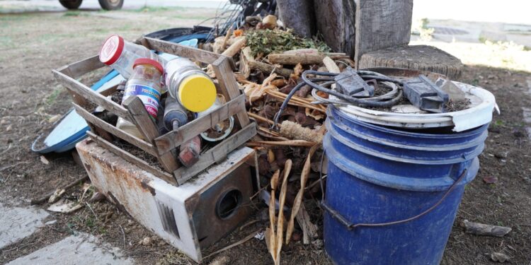 Reitera SSO que la mejor protección ante el dengue es eliminar criaderos del mosquito