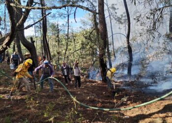 Coesfo liquida y controla cinco incendios en Oaxaca