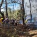 Coesfo liquida y controla cinco incendios en Oaxaca
