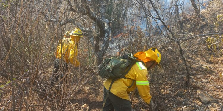 Atiende Coesfo incendios registrados en distintos puntos del estado