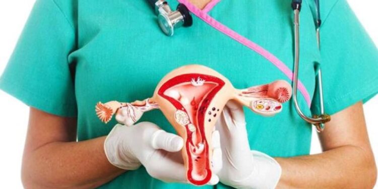 Instala SSO módulos rosa y verde para detección de cáncer cervicouterino y de mama