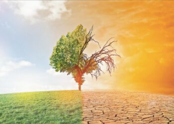 Índice de desempeño ambiental 2024: Retrocede México 7 lugares