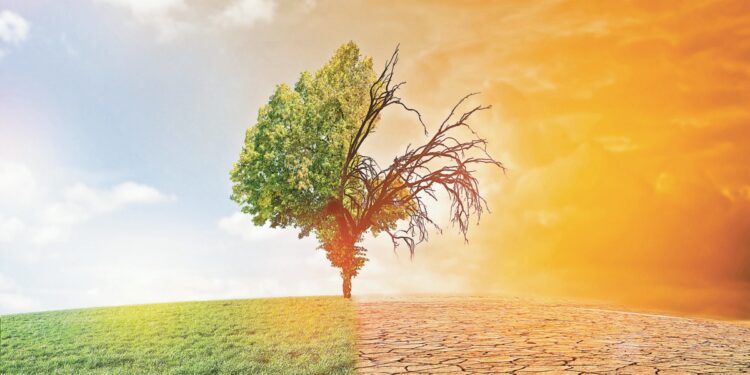 Índice de desempeño ambiental 2024: Retrocede México 7 lugares