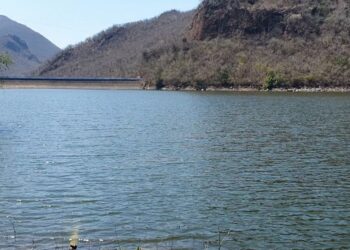 LA PESCA EN LA RESERVA DE LA BIÓSFERA ZICUIRÁN-INFIERNILLO EN DECLIVE POR INVASIÓN DEL PEZ DIABLO Y LA CARENCIA DE OXÍGENO EN SUS AGUAS