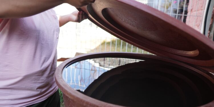 Cuidado del agua, fundamental para evitar criaderos de mosquito transmisor de dengue: SSO