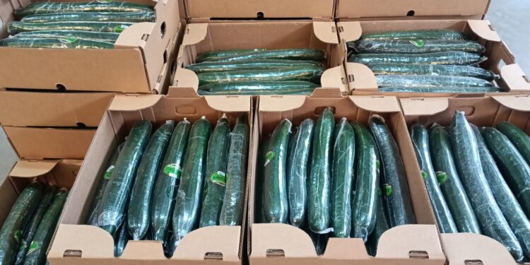 Productores de Huixtepec abren puertas comerciales hacia Estados Unidos y Canadá