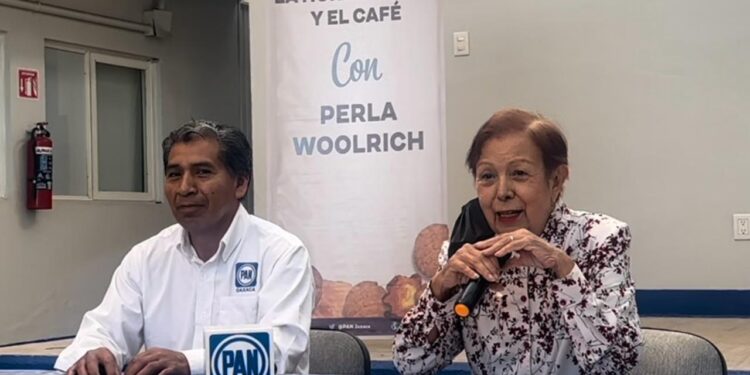 Instancias del gobierno estatal a favor de la mujer son elefantes blancos, frente a la violencia que enfrenta la población femenina.