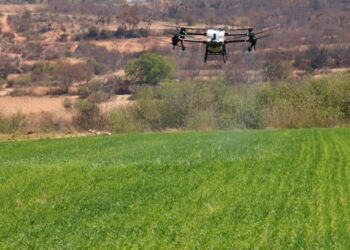 Inicia Sectur Oaxaca promoción en la Vitrina Turística Anato 2024