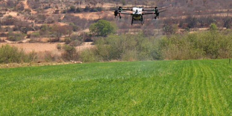 Inicia Sectur Oaxaca promoción en la Vitrina Turística Anato 2024