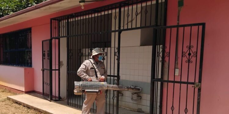 Continúa la Jornada Nacional de Lucha contra Dengue en la Mixteca